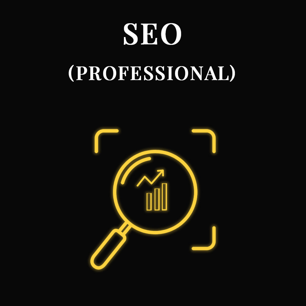 SEO - PROFESSIONAL