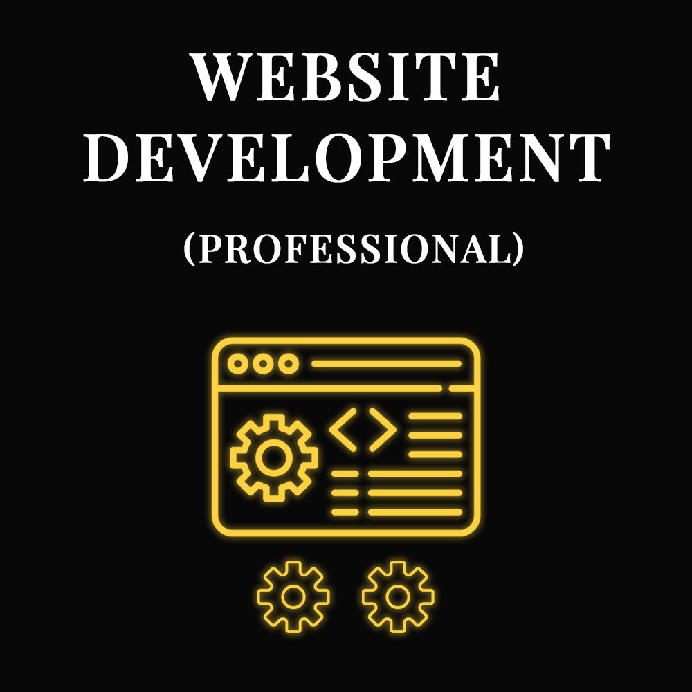 Web Development - Professional