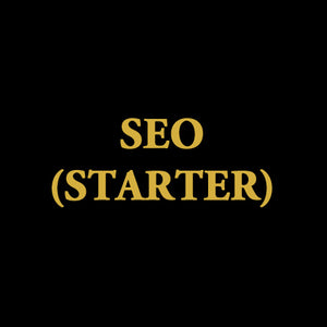 budget seo agency