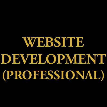 website development agency
